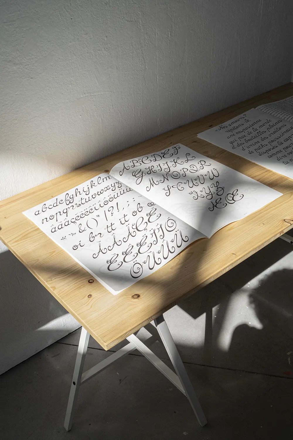 图片[6]-【Interlope】一款具有丰富连字样式与装饰性的手写体字体-95n95.com免费商用字体