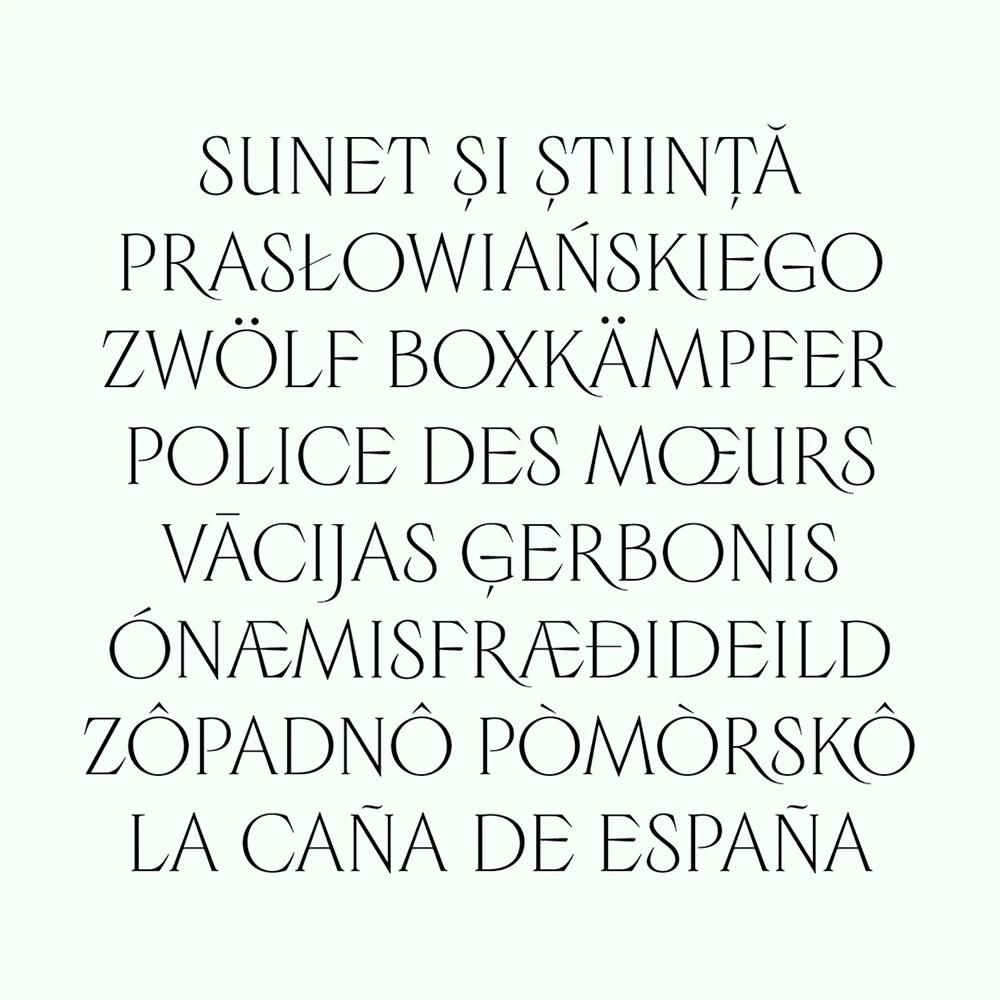 图片[4]-【Luperca】一款探索罗马方形大写字母演变可能性的字体-95n95.com免费商用字体