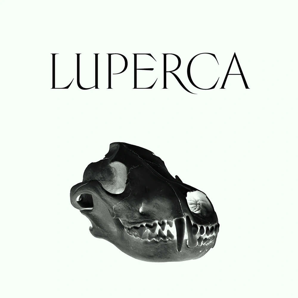 图片[2]-【Luperca】一款探索罗马方形大写字母演变可能性的字体-95n95.com免费商用字体