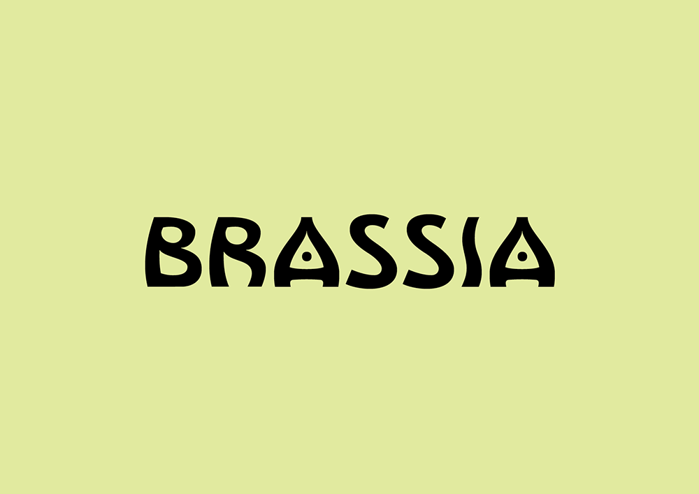 图片[2]-【Brassia】兼具古朴与未来感的太阳朋克风格字体-95n95.com免费商用字体