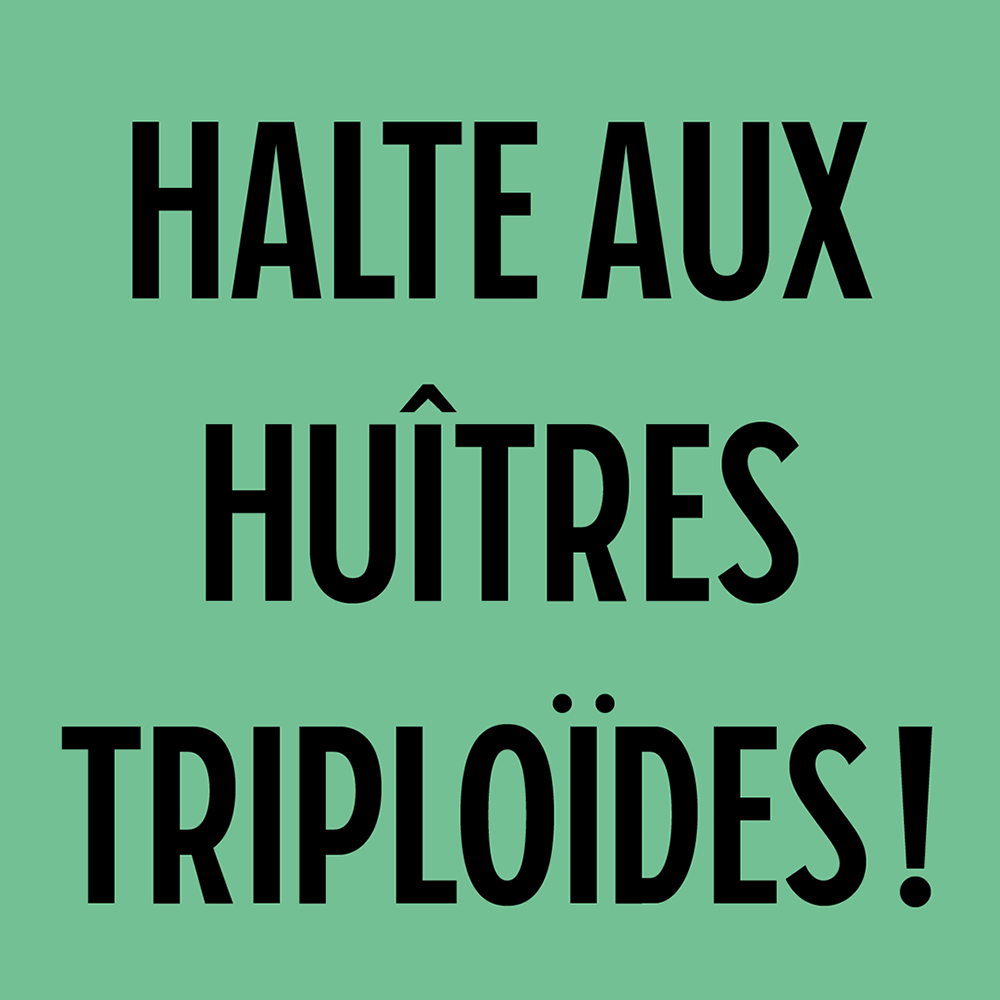 图片[3]-【Piscolabis】非常适合用于标题的紧凑型粗体展示字体-95n95.com免费商用字体