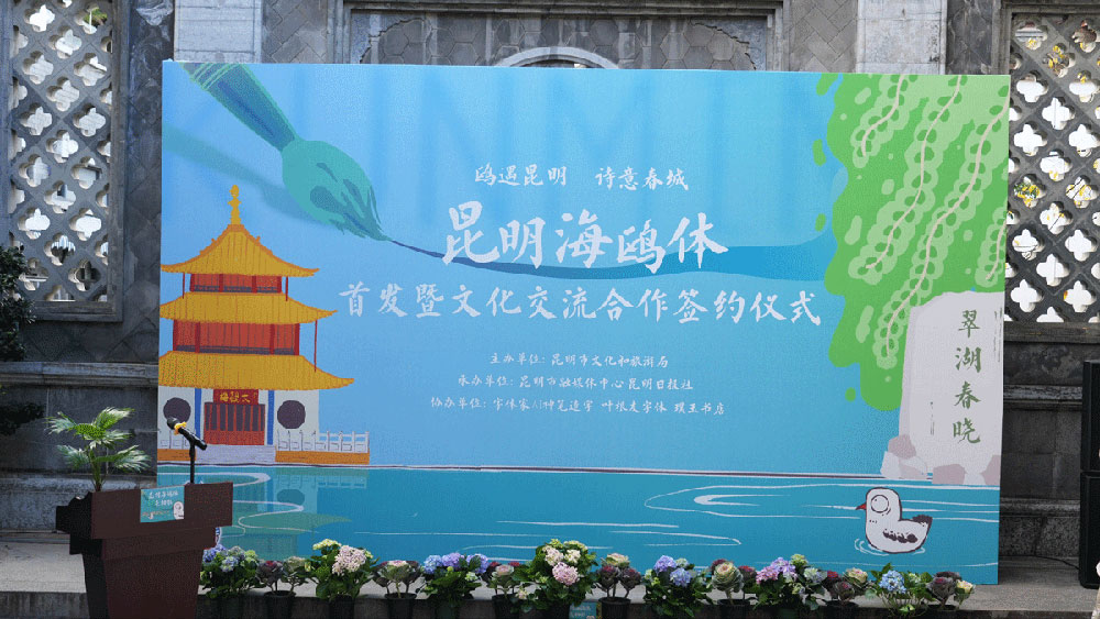 图片[2]-【昆明海鸥体】全国首款城市定制型海鸥主题字体-95n95.com免费商用字体