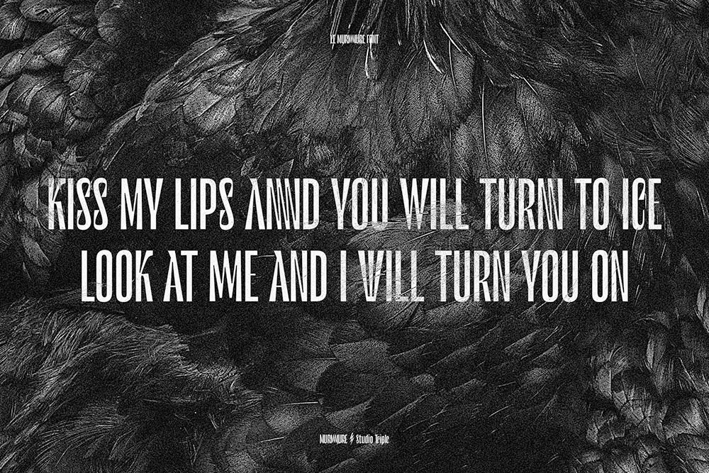 图片[6]-【Le Murmure】一款尽显优雅质感的无衬线字体-95n95.com免费商用字体