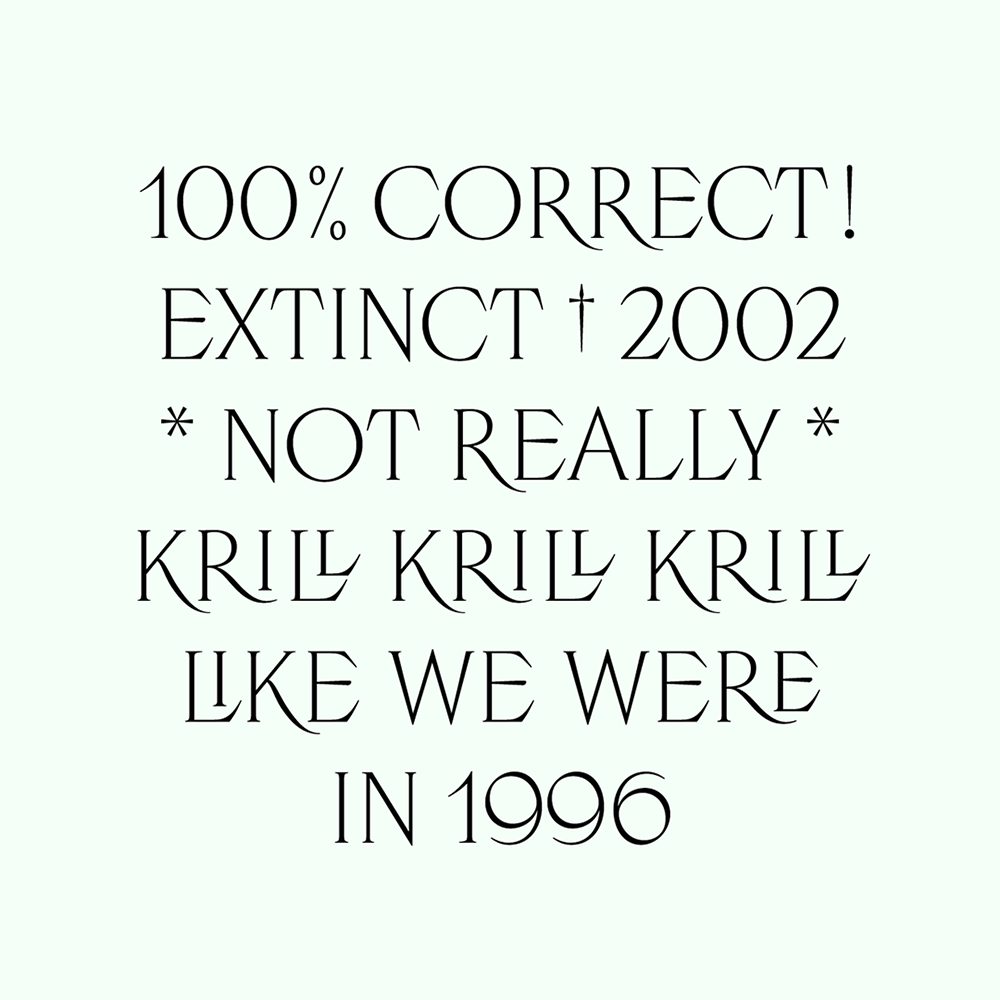 图片[7]-【Luperca】一款探索罗马方形大写字母演变可能性的字体-95n95.com免费商用字体