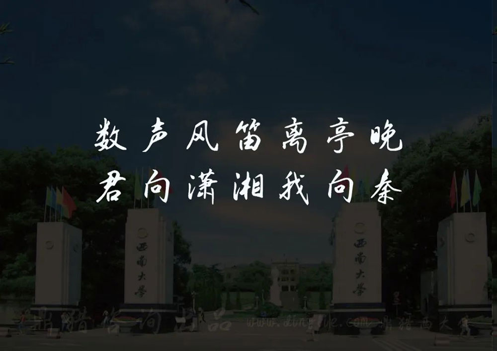 图片[6]-【鼎猎西大体】一款自由肆意、洒脱无拘的手写行楷-95n95.com免费商用字体