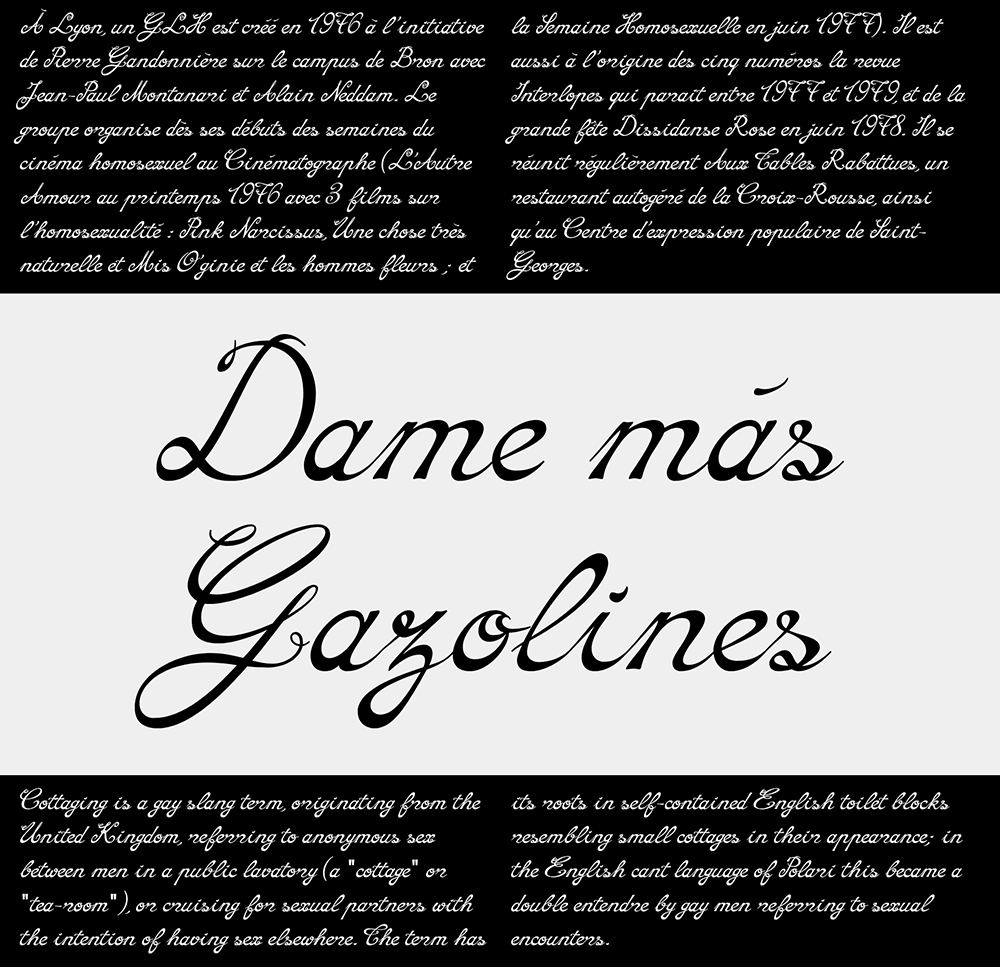 图片[3]-【Interlope】一款具有丰富连字样式与装饰性的手写体字体-95n95.com免费商用字体