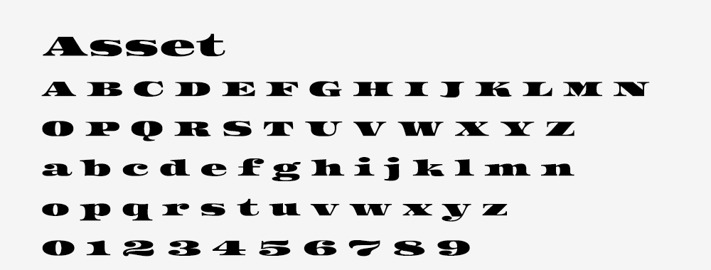 图片[3]-【Asset】一种源自美元纸币字母的高对比度粗宽衬线字体-95n95.com免费商用字体