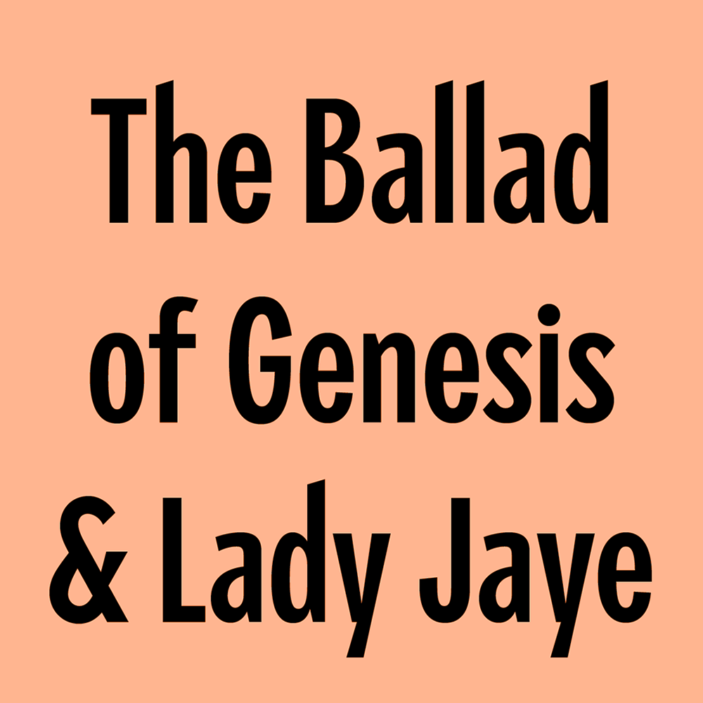 图片[4]-【Piscolabis】非常适合用于标题的紧凑型粗体展示字体-95n95.com免费商用字体