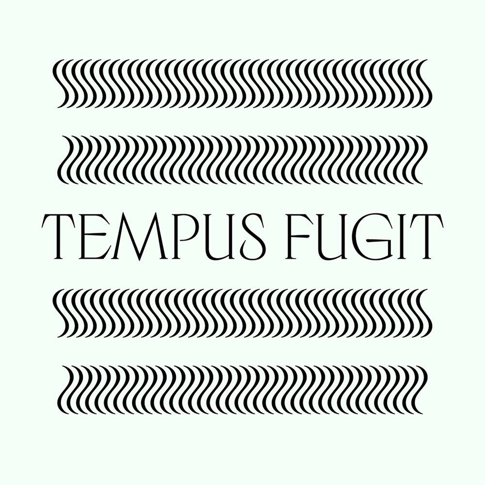 图片[3]-【Luperca】一款探索罗马方形大写字母演变可能性的字体-95n95.com免费商用字体