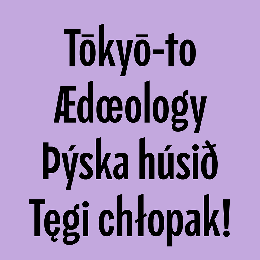 图片[6]-【Piscolabis】非常适合用于标题的紧凑型粗体展示字体-95n95.com免费商用字体