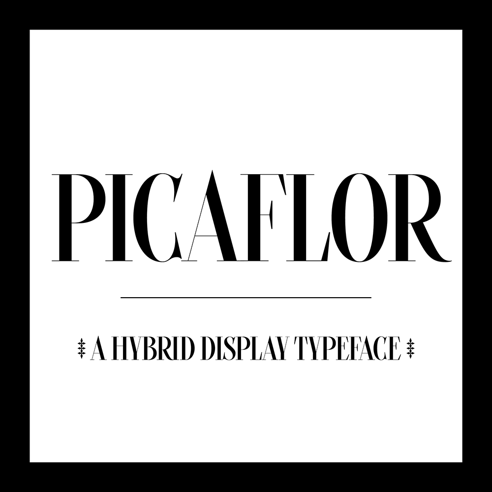 图片[2]-【Picaflor】一款融合书法细节的混合型展示字体-95n95.com免费商用字体