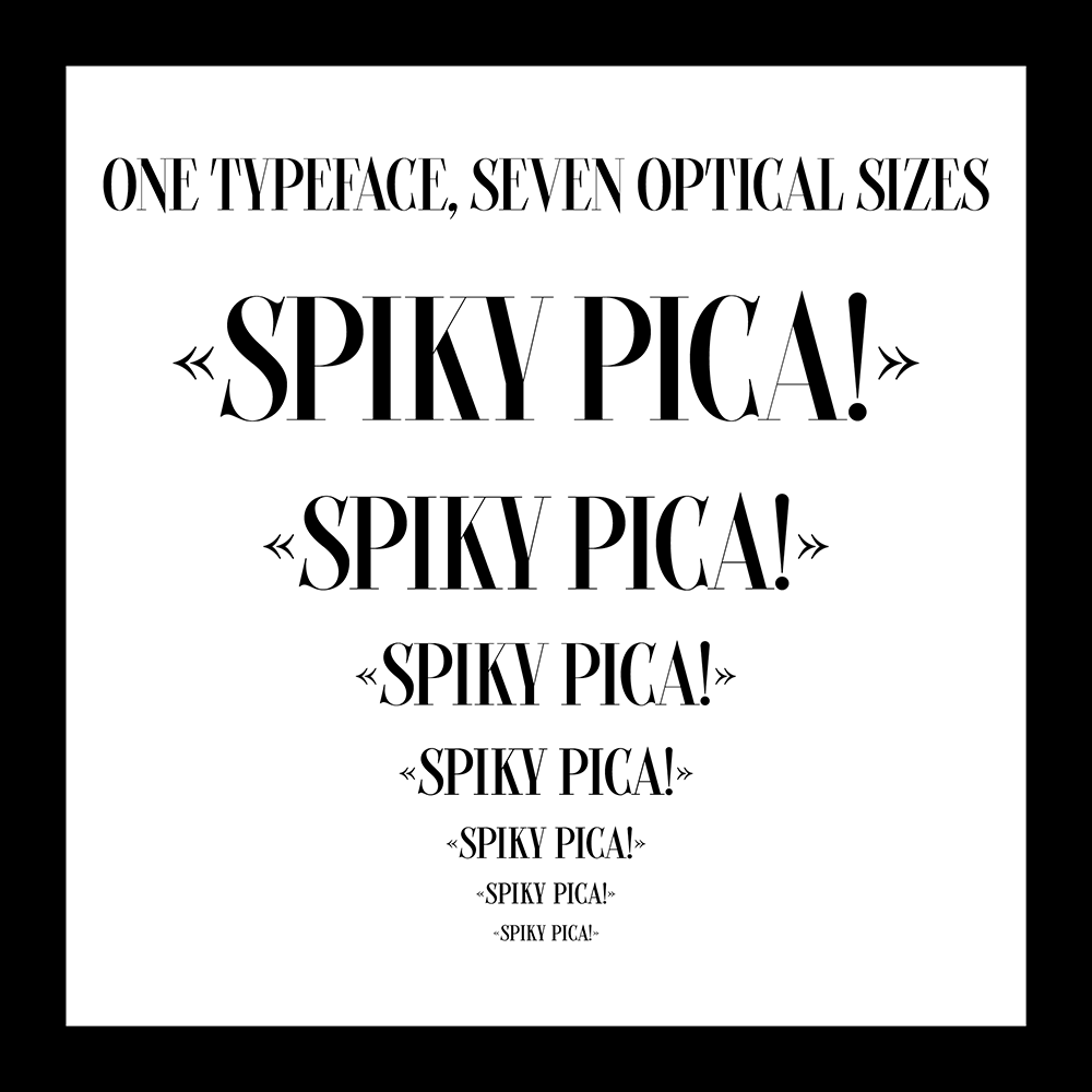 图片[5]-【Picaflor】一款融合书法细节的混合型展示字体-95n95.com免费商用字体