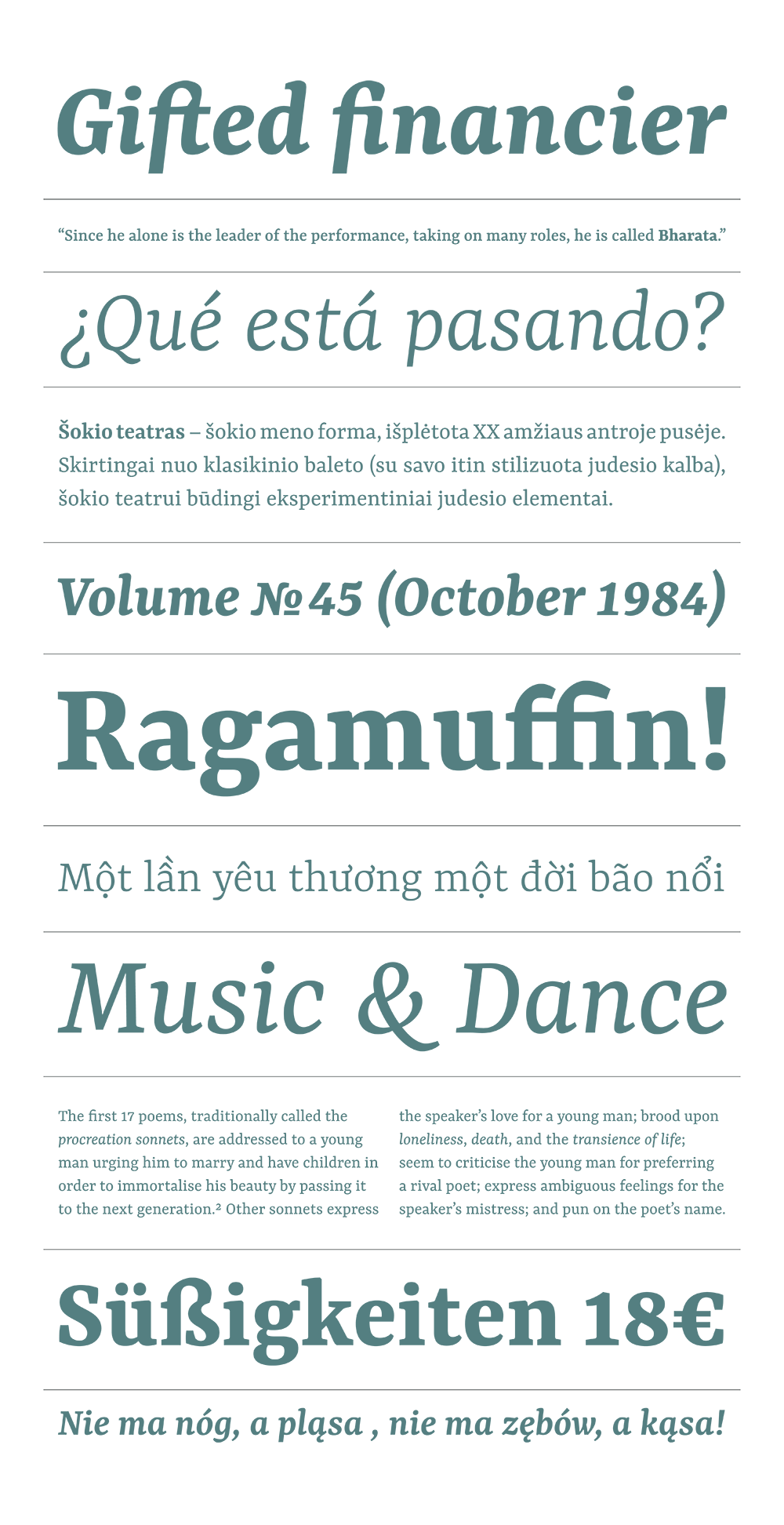 图片[2]-【Yrsa & Rasa】支持超过331种拉丁文语言和3种古吉拉特文语言-95n95.com免费商用字体