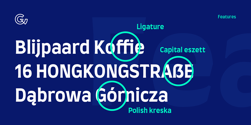 图片[5]-【Farro】欧洲人文主义风格的富有艺术气息的展示型字体-95n95.com免费商用字体