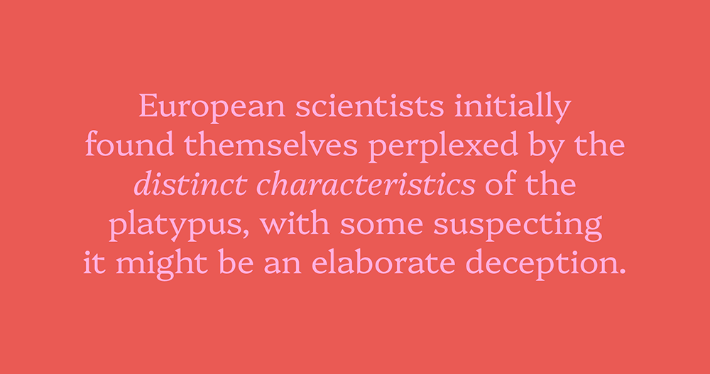 图片[6]-【Platypi】灵感来自澳大利亚鸭嘴兽的免费英文字体-95n95.com免费商用字体